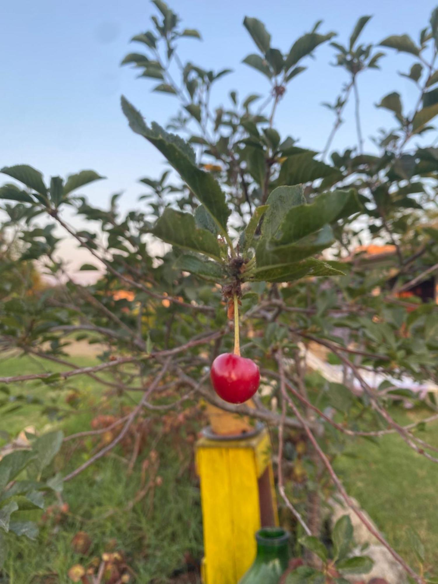 Agrib&B Lemontree Garde'N 시라쿠사 외부 사진